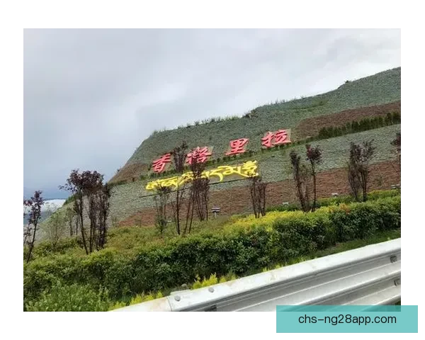 回望2012中西之战首发阵容全记忆