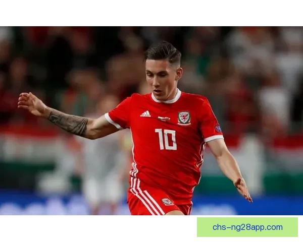 哈里威尔逊倾向加盟维拉追逐欧冠梦