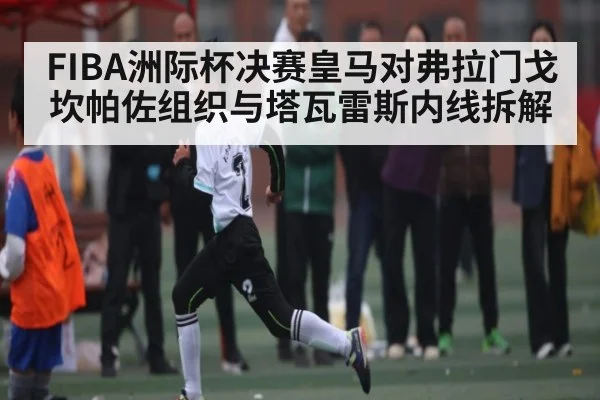 FIBA洲际杯决赛皇马对弗拉门戈 坎帕佐组织与塔瓦雷斯内线拆解 | NG28